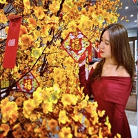 Chị Lê Phương Thảo